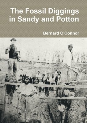 bokomslag Fossil Diggings in Sandy and Potton