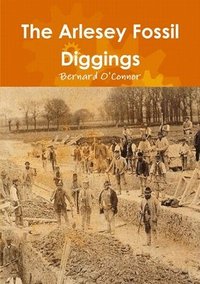 bokomslag Arlesey Fossil Diggings