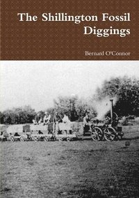bokomslag Shillington Fossil Diggings