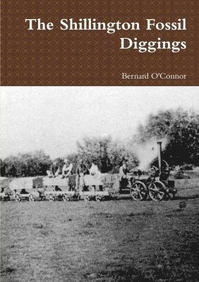 bokomslag Shillington Fossil Diggings