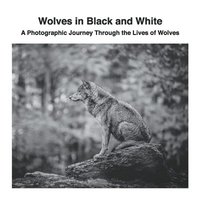 bokomslag Wolves in Black and White