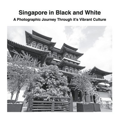 David Sechovicz - Singapore in Black and White, Häftad