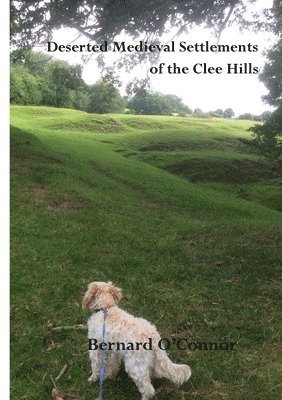 bokomslag Deserted Medieval Settlements in the Clee Hills, Shropshire