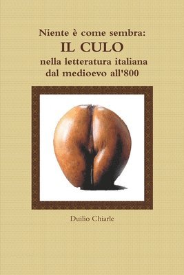 bokomslag Niente  come sembra: IL CULO nella letteratura italiana dal medioevo all'800