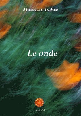 Maurizio Iodice - onde, Häftad