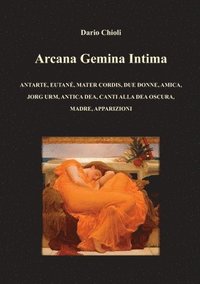 bokomslag Arcana Gemina Intima