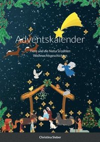 bokomslag Adventskalender