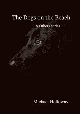 bokomslag Dogs on the Beach and Other Stories