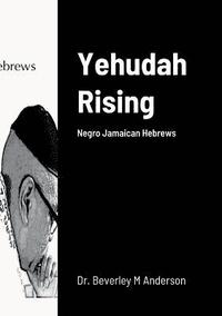 bokomslag Yehudah Rising
