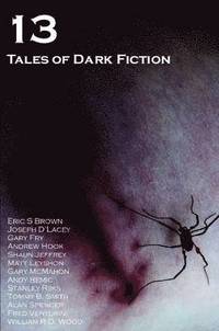 bokomslag 13: Tales of Dark Fiction