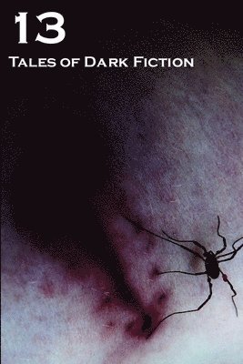 Adam Bradley, Tommy B. Smith, Eric S Brown, Joseph D'Lacey, Gary Fry, Andrew Hook, Shaun Jeffrey, Matt Leyshon, Gary McMahon, Andy Remic, Stanley Riiks, Alan Spencer, Fred Venturini, William R.D. Wood - 13: Tales of Dark Fiction, Häftad