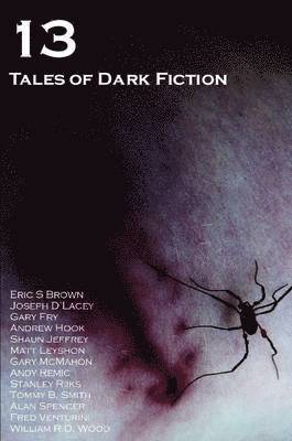 13: Tales of Dark Fiction 1