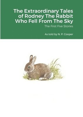 bokomslag Extraordinary Tales of Rodney The Rabbit Who Fell From The Sky