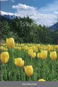 bokomslag Great Gospel Issues