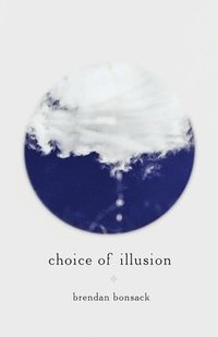 bokomslag Choice of Illusion