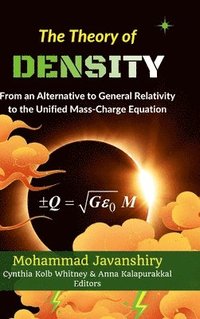 bokomslag Theory of Density