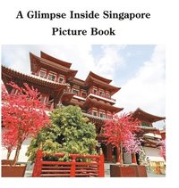bokomslag A Glimpse Inside Singapore Picture Book