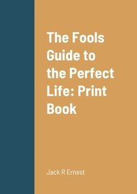 bokomslag The Fools Guide to the Perfect Life