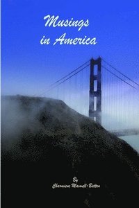 bokomslag Musings in America