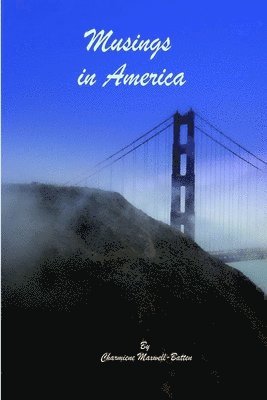 bokomslag Musings in America
