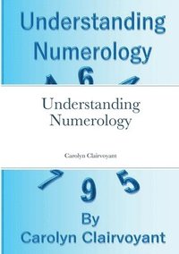 bokomslag Understanding Numerology