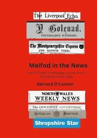 bokomslag Meifod in the News
