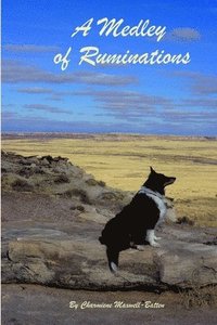 bokomslag Medley of Ruminations