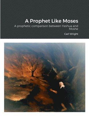 bokomslag A Prophet Like Moses