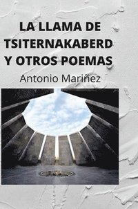 bokomslag Llama de Tsiternakaberd Y Otros Poemas.