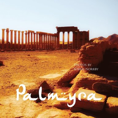 bokomslag Palmyra