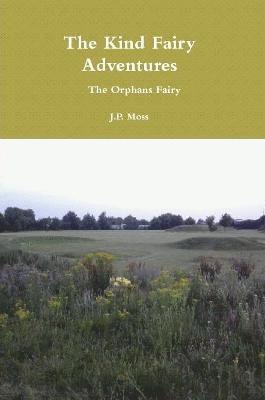 Kind Fairy Adventures The Orphans Fairy 1