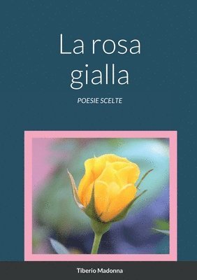 rosa gialla