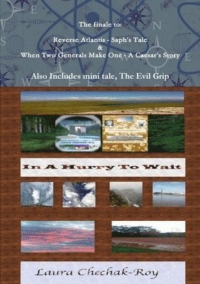 Laura Chechak-Roy - In A Hurry To Wait, Häftad