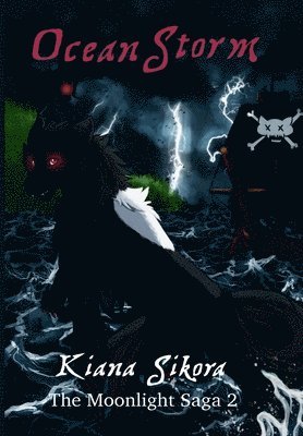 Ocean Storm