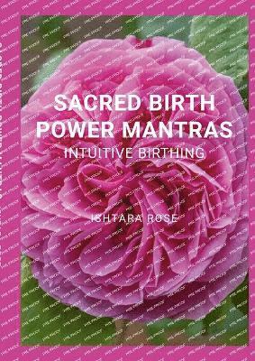 bokomslag Sacred Birth Power Mantras