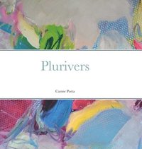 bokomslag Plurivers