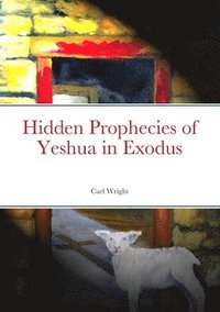 bokomslag Hidden Prophecies of Yeshua in Exodus