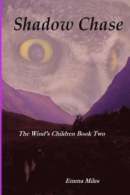 Shadow Chase: Book Two of The Wind's Children