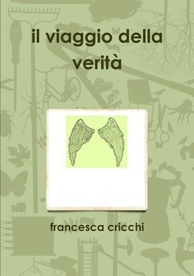 bokomslag Viaggio Della Verita