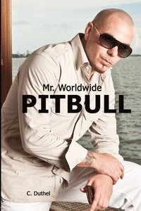 bokomslag Pitbull - Mr. Worldwide