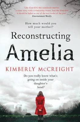 Reconstructing Amelia 1