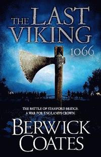 bokomslag The Last Viking