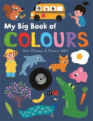 Fani Marceau - My Big Book of Colours, Kartonnage