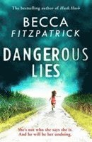 bokomslag Dangerous Lies