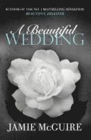 Beautiful Wedding 1