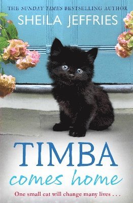 bokomslag Timba Comes Home