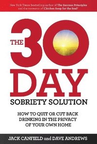 bokomslag 30-Day Sobriety Solution