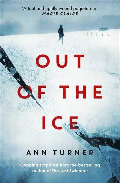 Ann Turner - Out of the Ice, Häftad