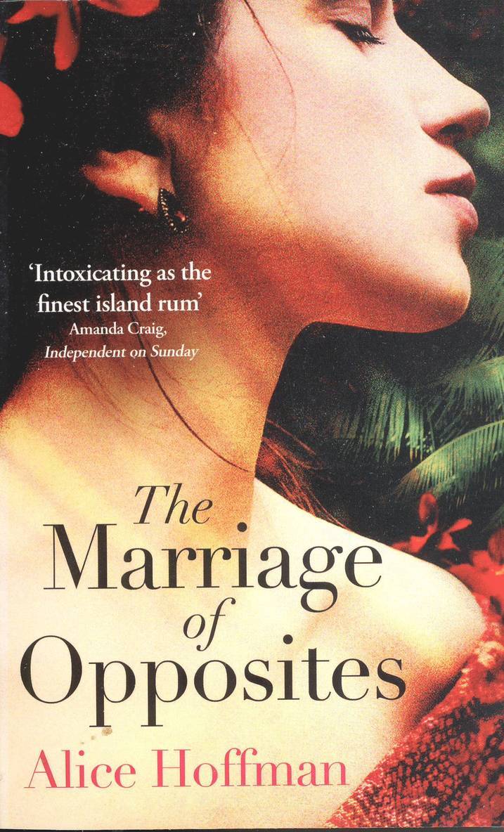Marriage of Opposites