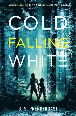 bokomslag Cold Falling White: Volume 2